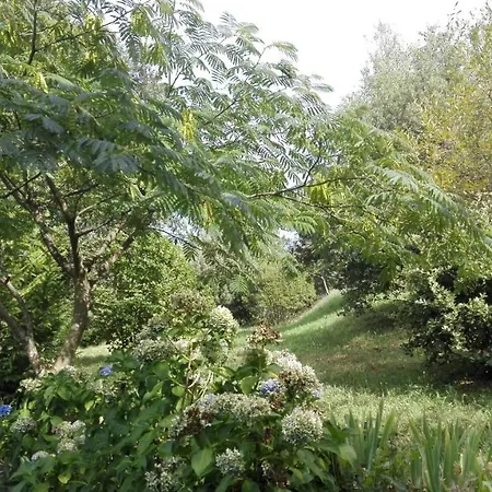 De La Jasse Dom wakacyjny Chamborigaud